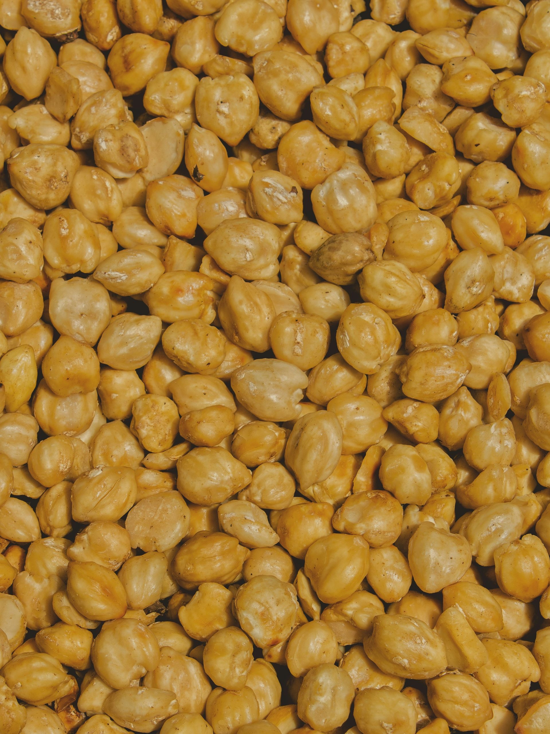Desi Chickpeas Garbanzo Beans Dengu Tanzania Export