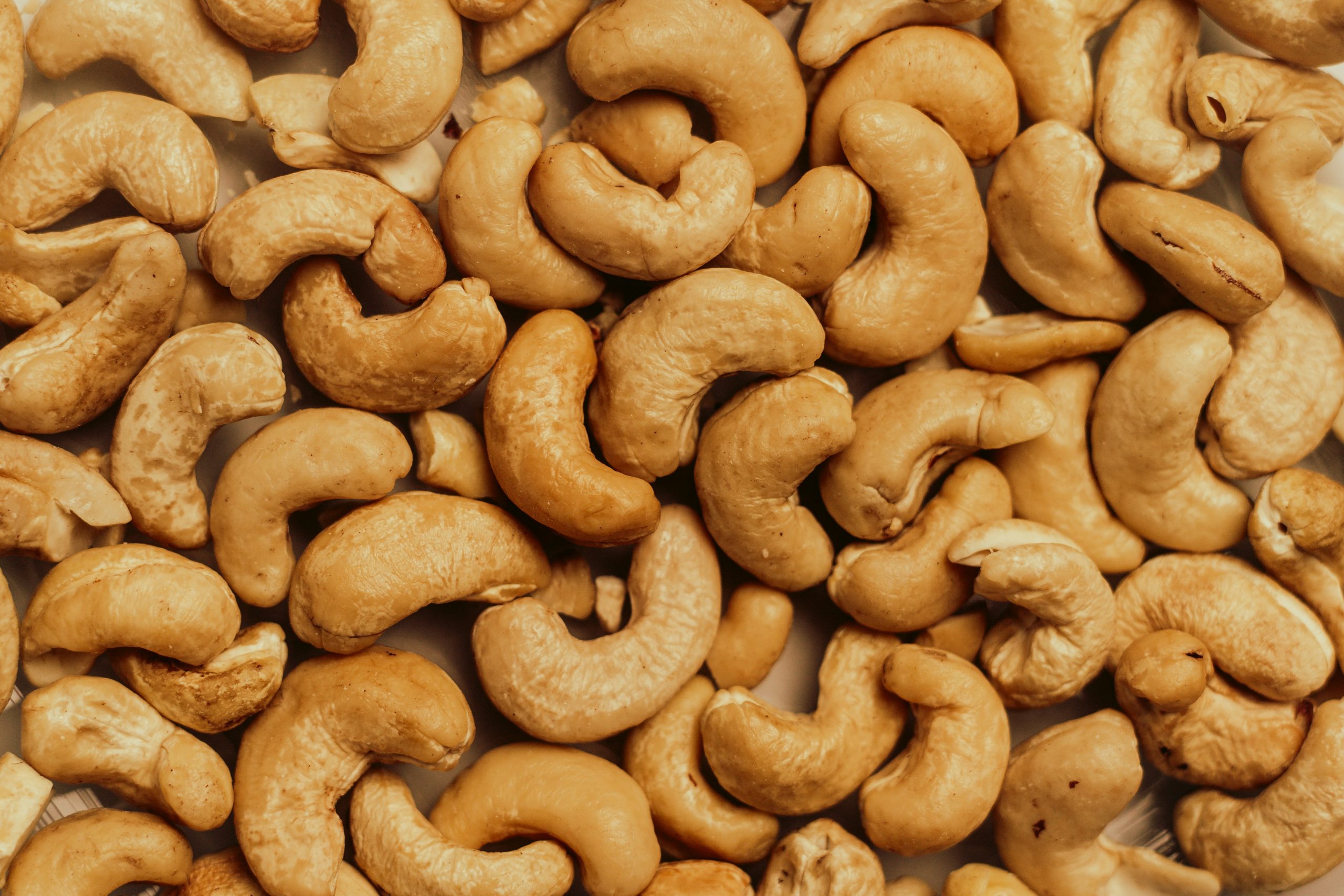 Premium Raw Cashew Nuts Korosho Tanzania Export