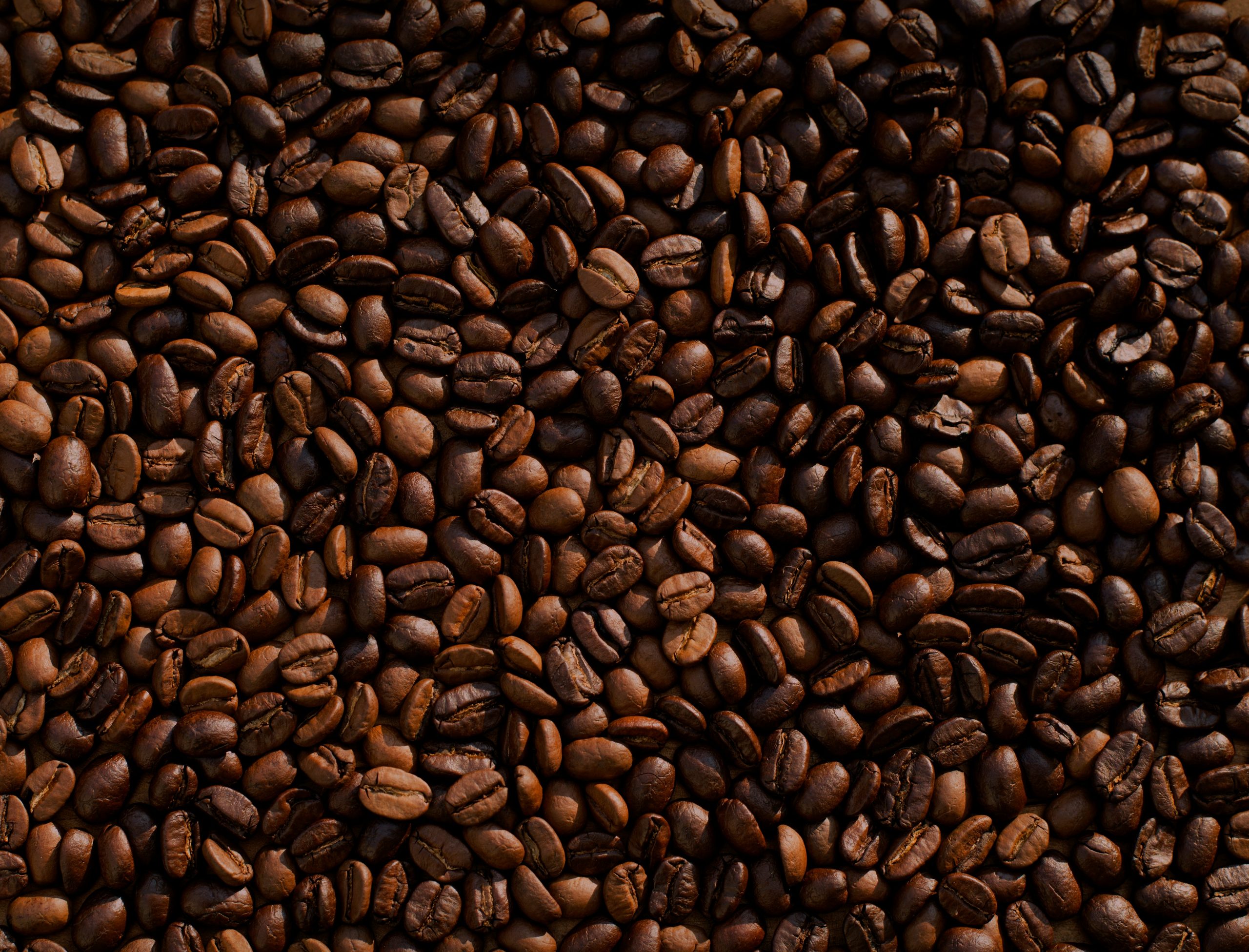 Tanzania Arabica and Robusta Coffee Beans Export